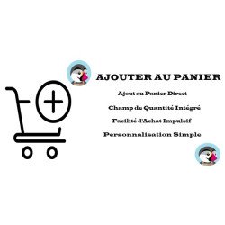Bouton Ajouter Au Panier