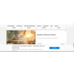 Google Adsense